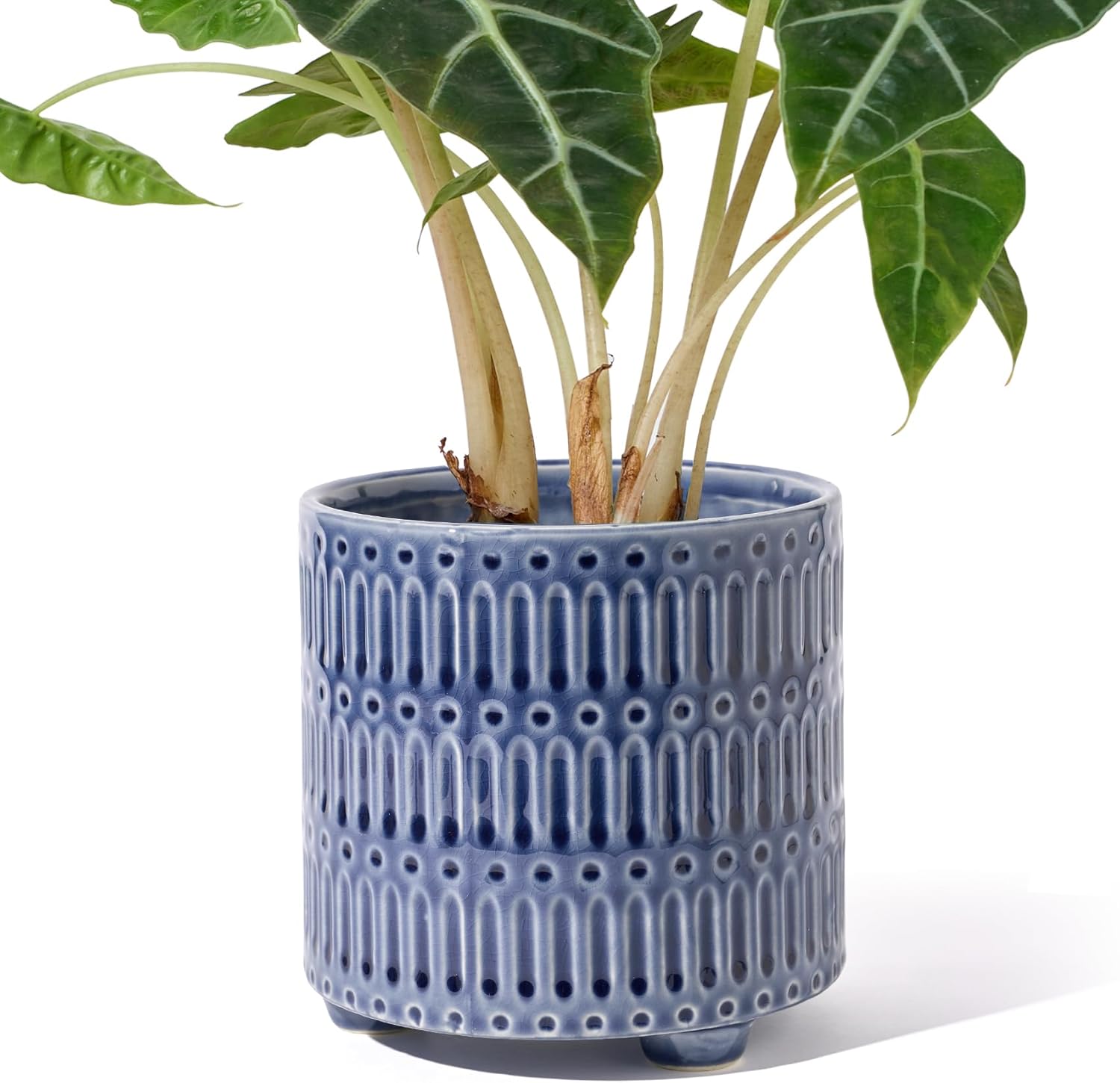 Snake Plant Ceramic - 5 Inch Ceramic Planters for Indoor