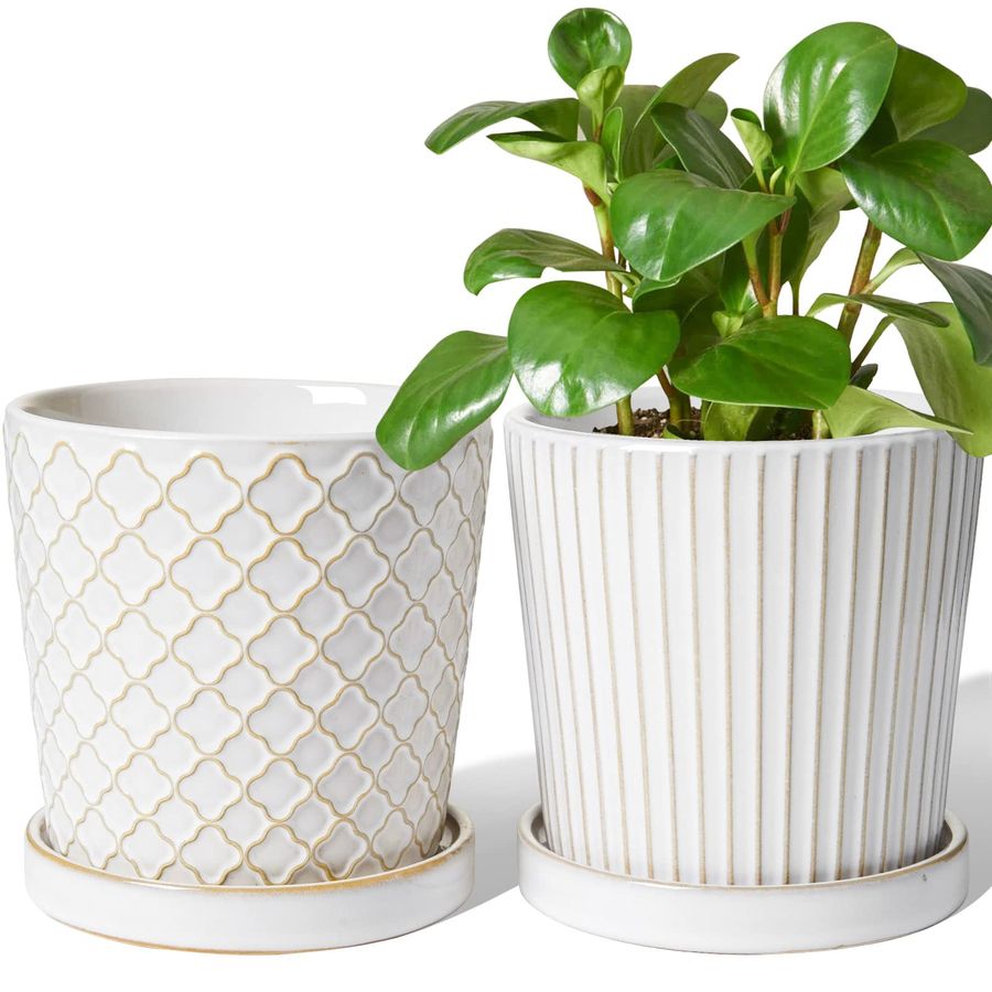 Snake Plant Ceramic - TAUCI Ceramic Pots for Plants, 5.4