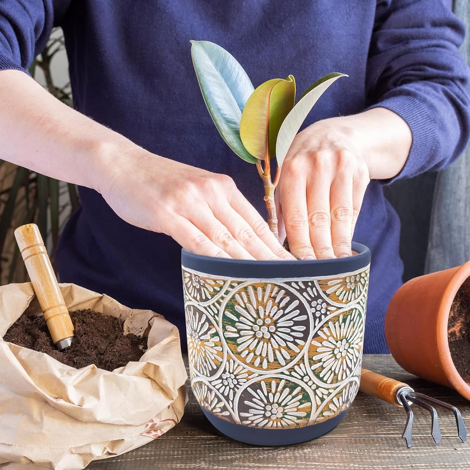 3 Piece Ceramic Plant Pots Ind - Snake Plant Ceramic 评论和价格
