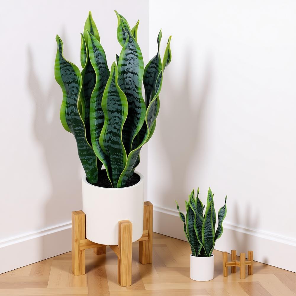 Artificial Snake Plant Potted  - Snake Plant Ceramic 评论和价格