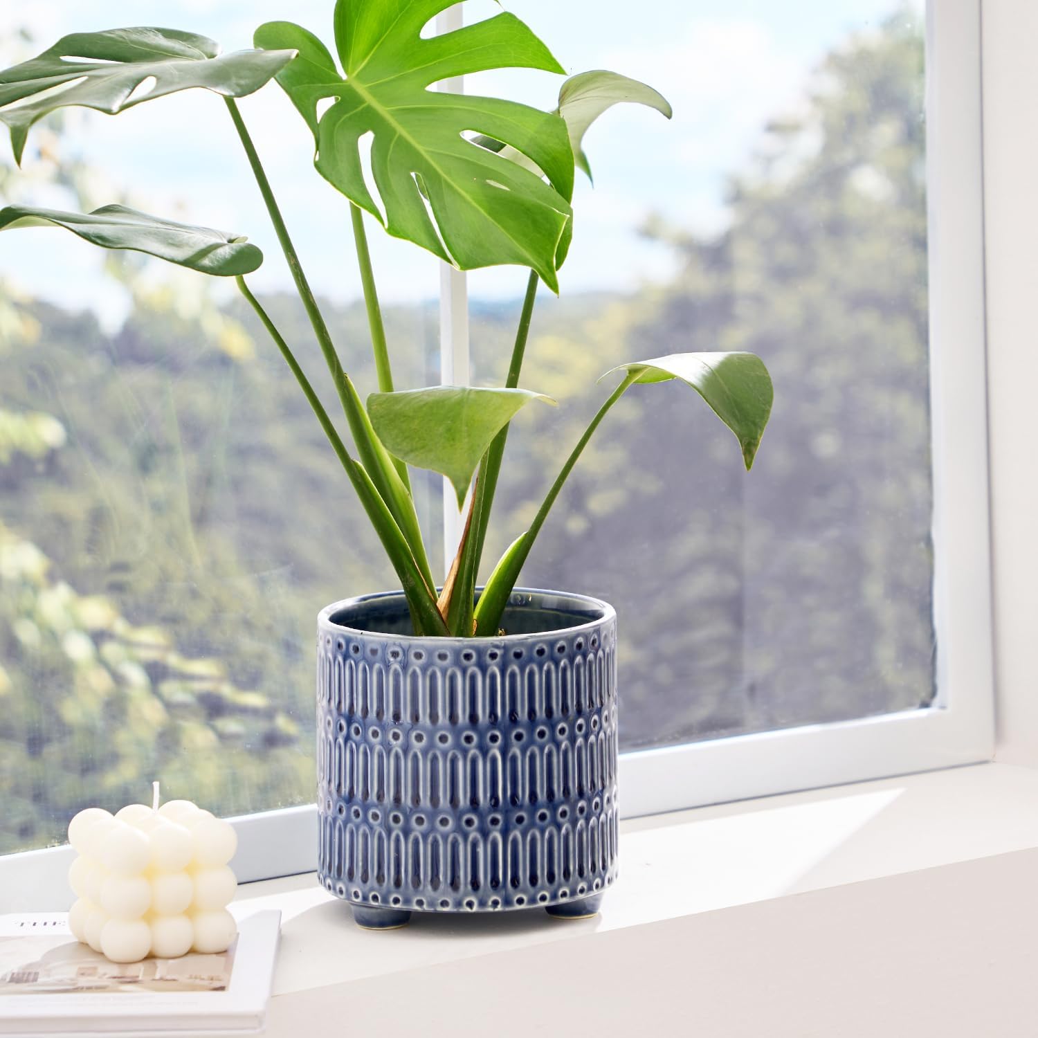 5 Inch Ceramic Planters for In - Snake Plant Ceramic 评论和价格