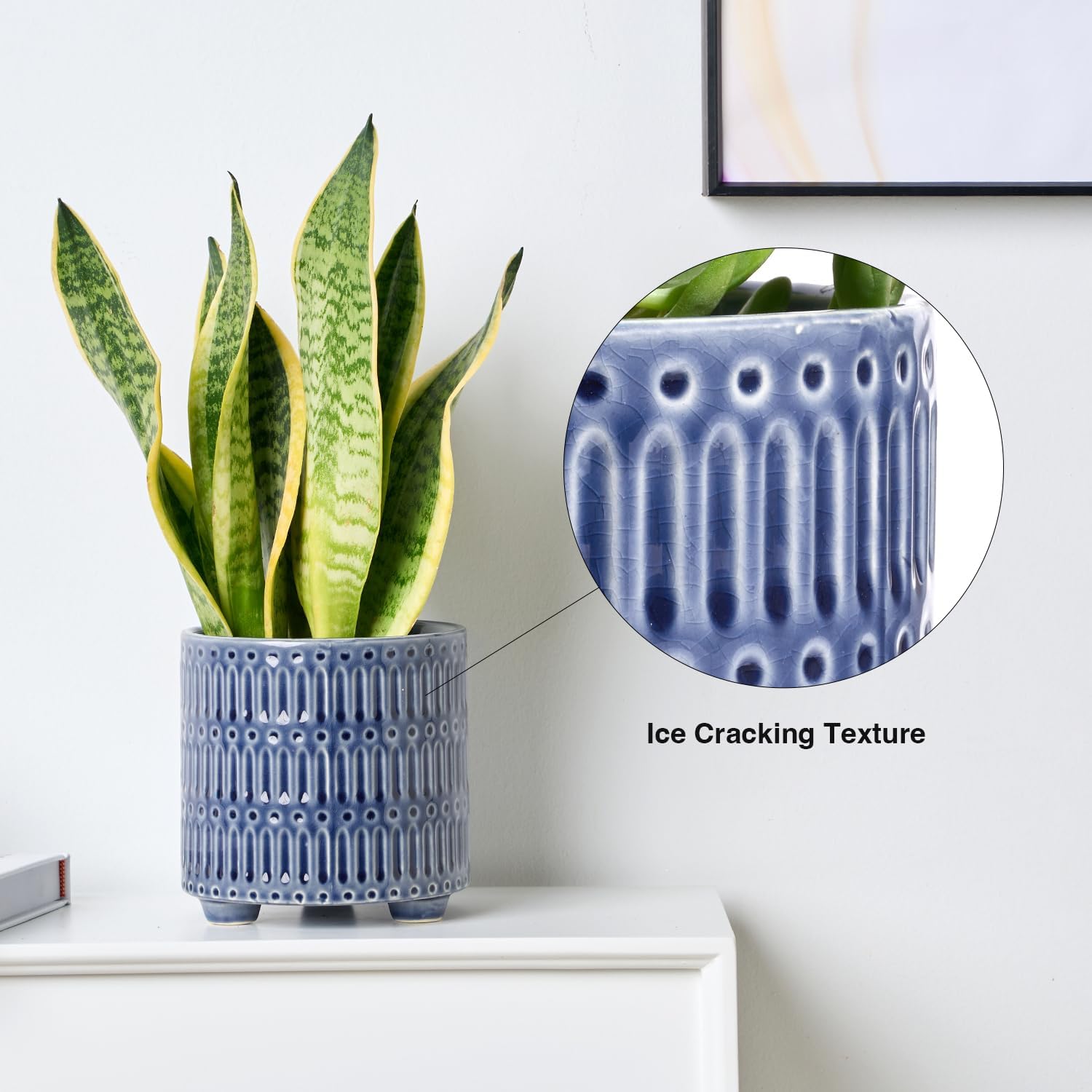 5 Inch Ceramic Planters for In - Snake Plant Ceramic 评论和价格