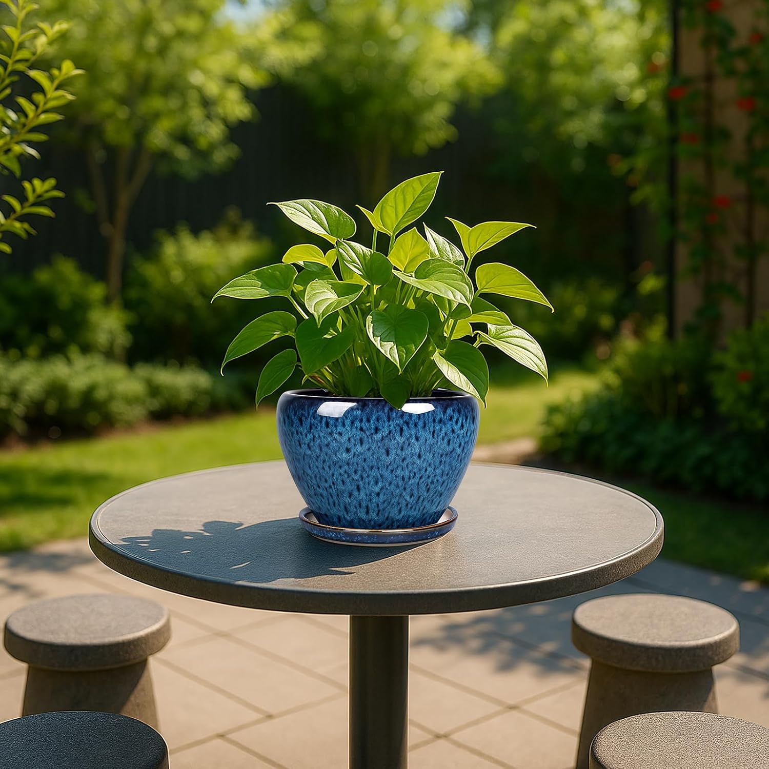 6 Inch Ceramic Plant Pot with  - Snake Plant Ceramic 评论和价格