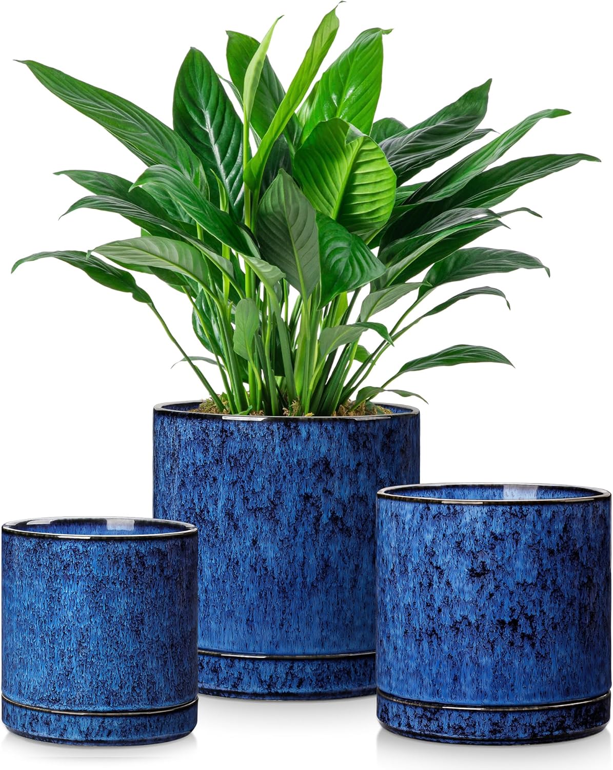 3-Piece Ceramic Plant Pots wit - Snake Plant Ceramic 评论和价格