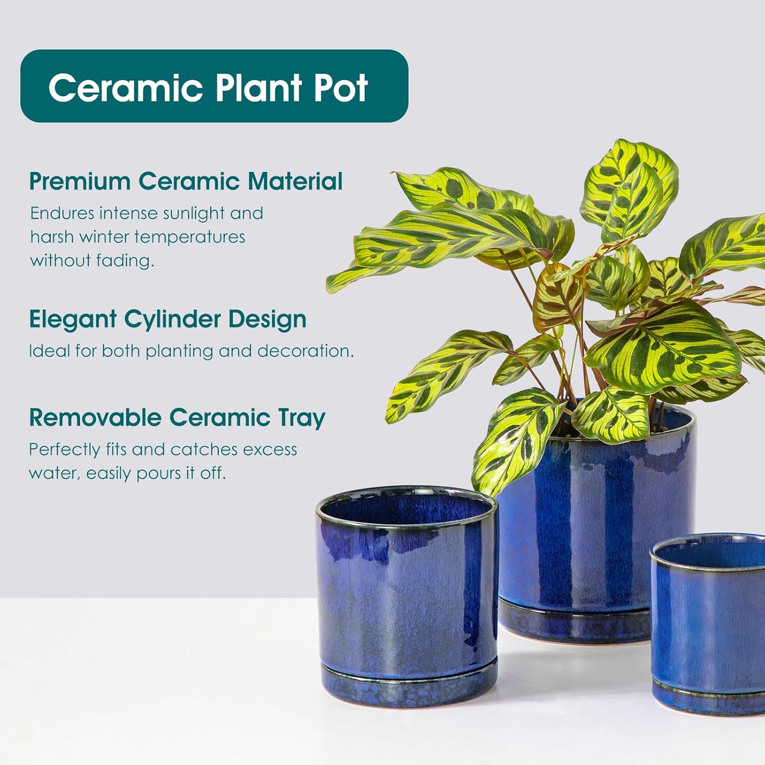 3-Piece Ceramic Plant Pots wit - Snake Plant Ceramic 评论和价格