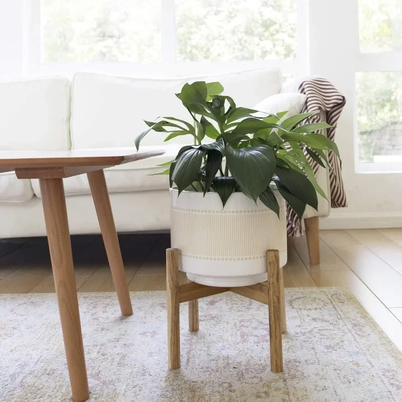 Large Ceramic Plant Pot with S - Snake Plant Ceramic 评论和价格