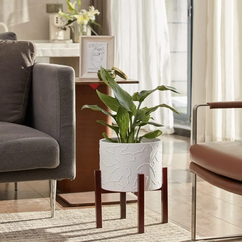 Large Ceramic Plant Pot with S - Snake Plant Ceramic 评论和价格