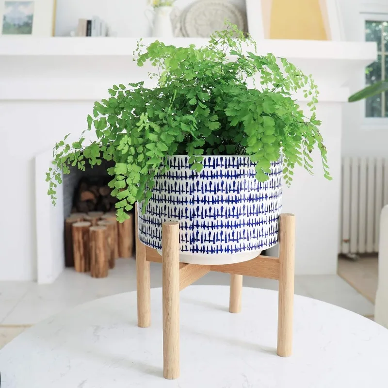 Large Ceramic Plant Pot with S - Snake Plant Ceramic 评论和价格