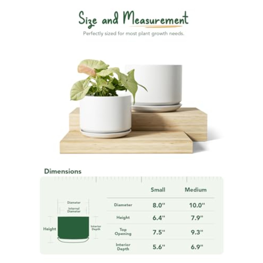 Ceramic Plant Pots Set of 2 8+ - Snake Plant Ceramic 评论和价格