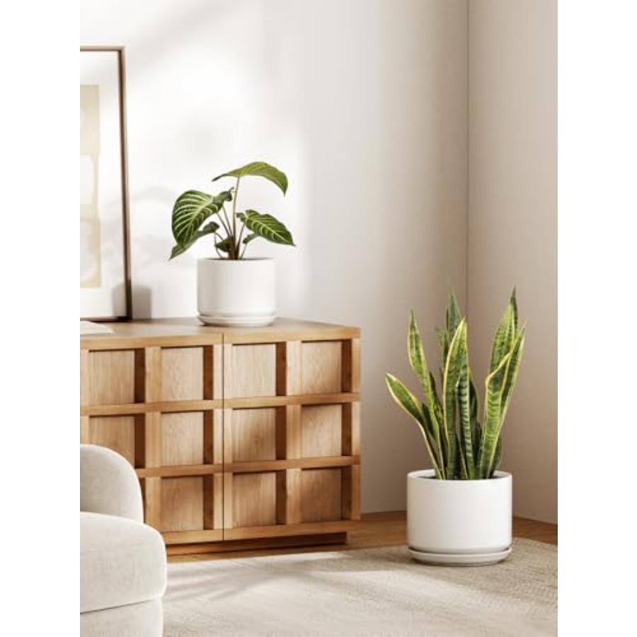 Ceramic Plant Pots Set of 2 8+ - Snake Plant Ceramic 评论和价格