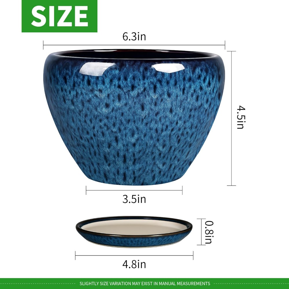 6 Inch Ceramic Plant Pot with  - Snake Plant Ceramic 评论和价格