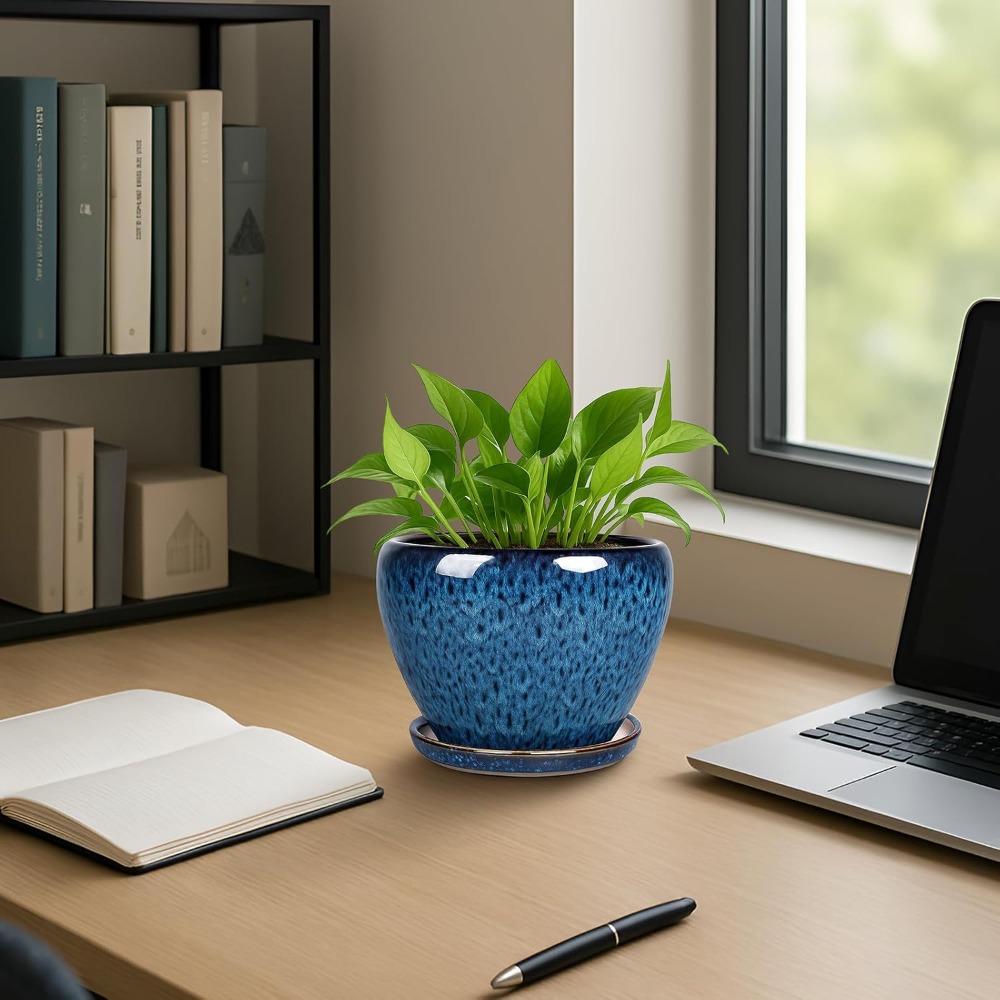 6 Inch Ceramic Plant Pot with  - Snake Plant Ceramic 评论和价格