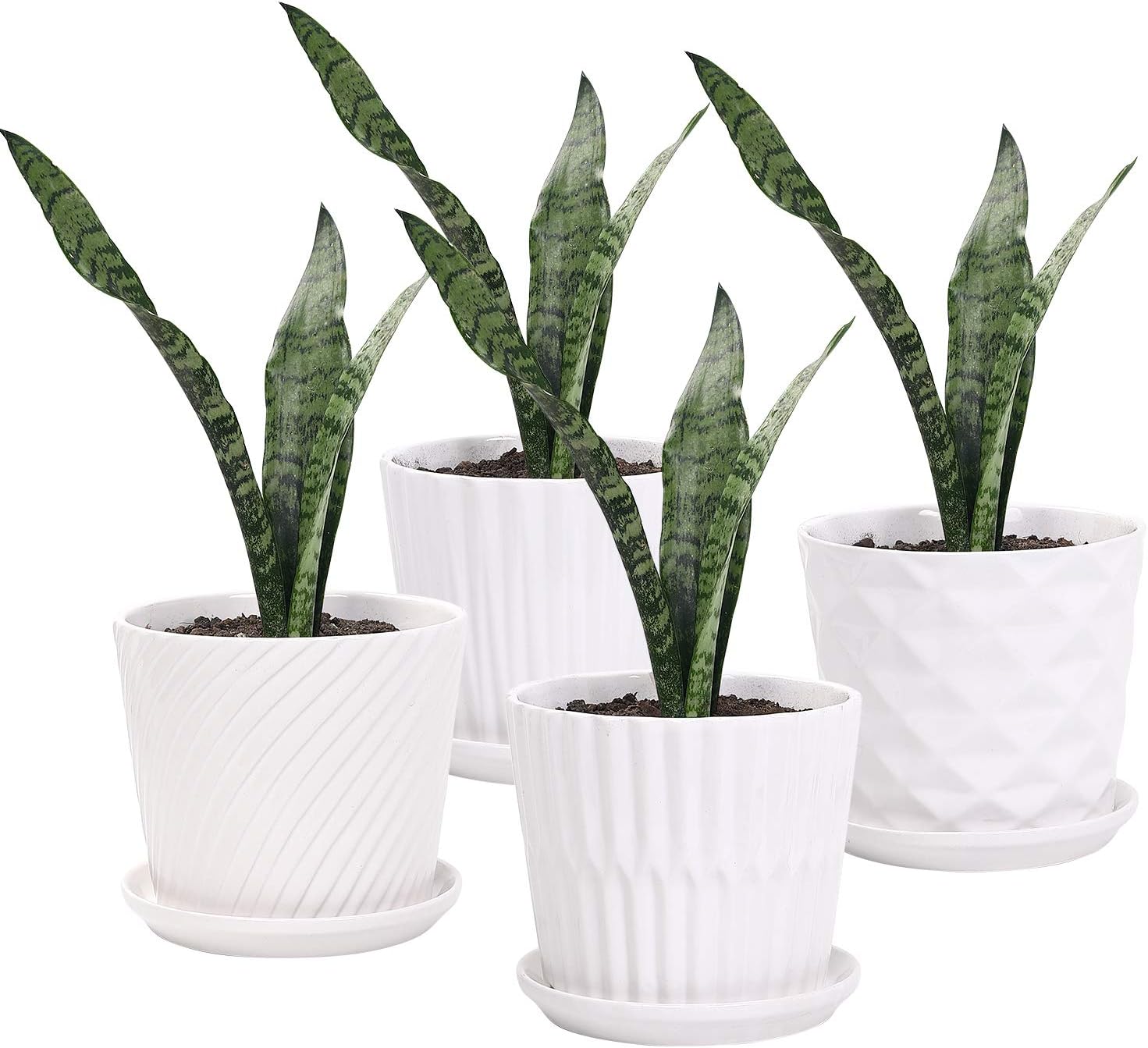 Plant Pots - 5.5 Inch Cylinder - Snake Plant Ceramic 评论和价格