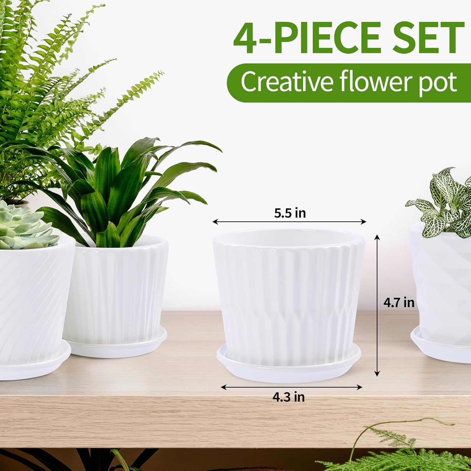 Plant Pots - 5.5 Inch Cylinder - Snake Plant Ceramic 评论和价格