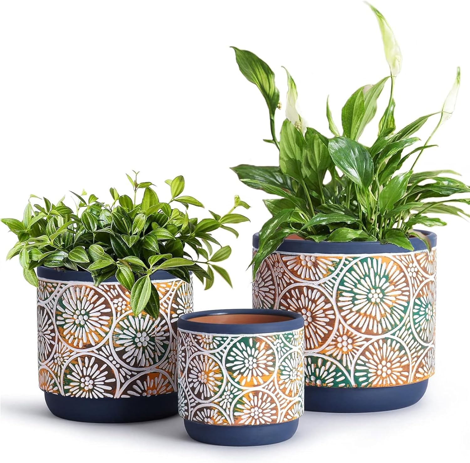 DeeCoo 3 Piece Ceramic Plant p - Snake Plant Ceramic 评论和价格