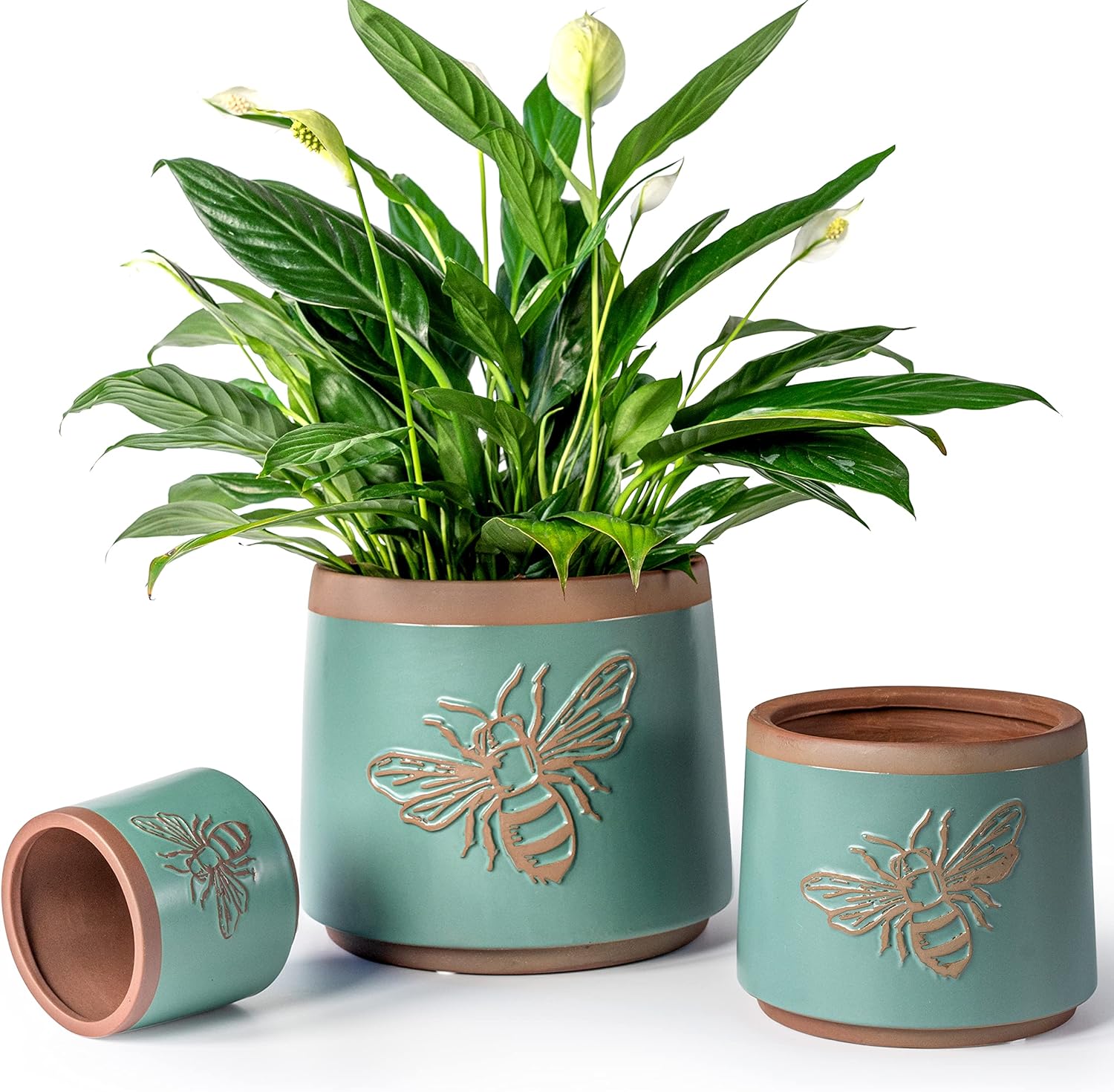 Terracotta Pots with Drainage  - Snake Plant Ceramic 评论和价格