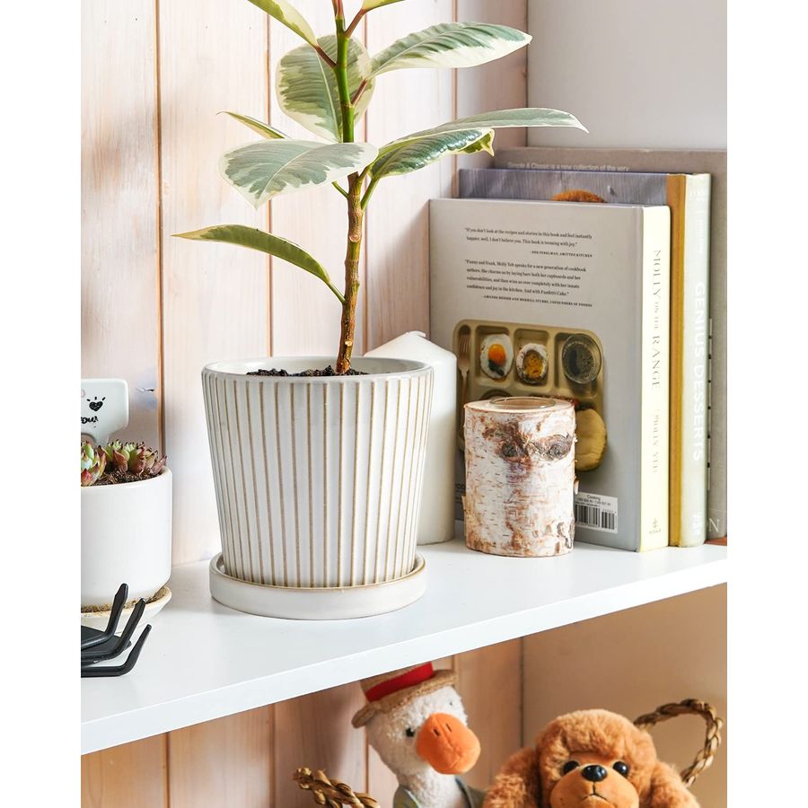 TAUCI Ceramic Pots for Plants, - Snake Plant Ceramic 评论和价格