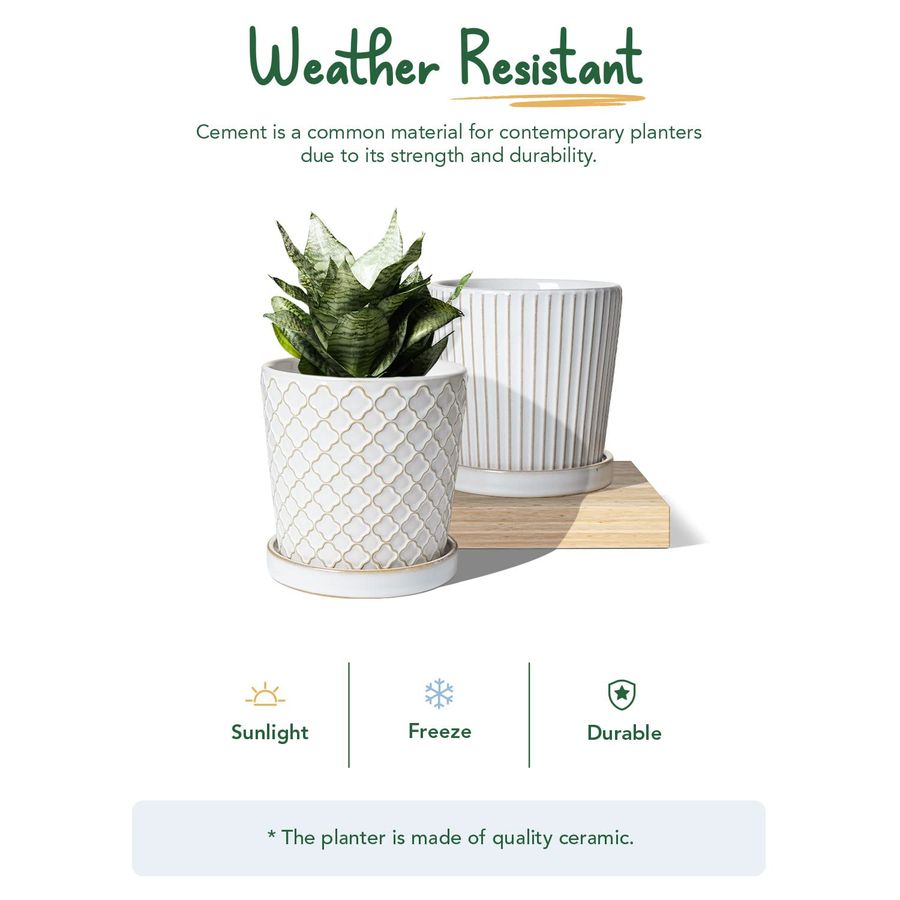 TAUCI Ceramic Pots for Plants, - Snake Plant Ceramic 评论和价格