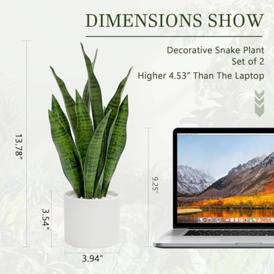 Artificial Snake Plant Set of  - Snake Plant Ceramic 评论和价格