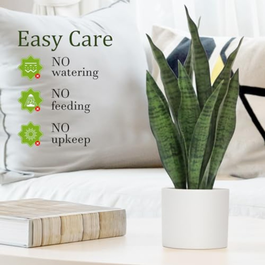 Artificial Snake Plant Set of  - Snake Plant Ceramic 评论和价格