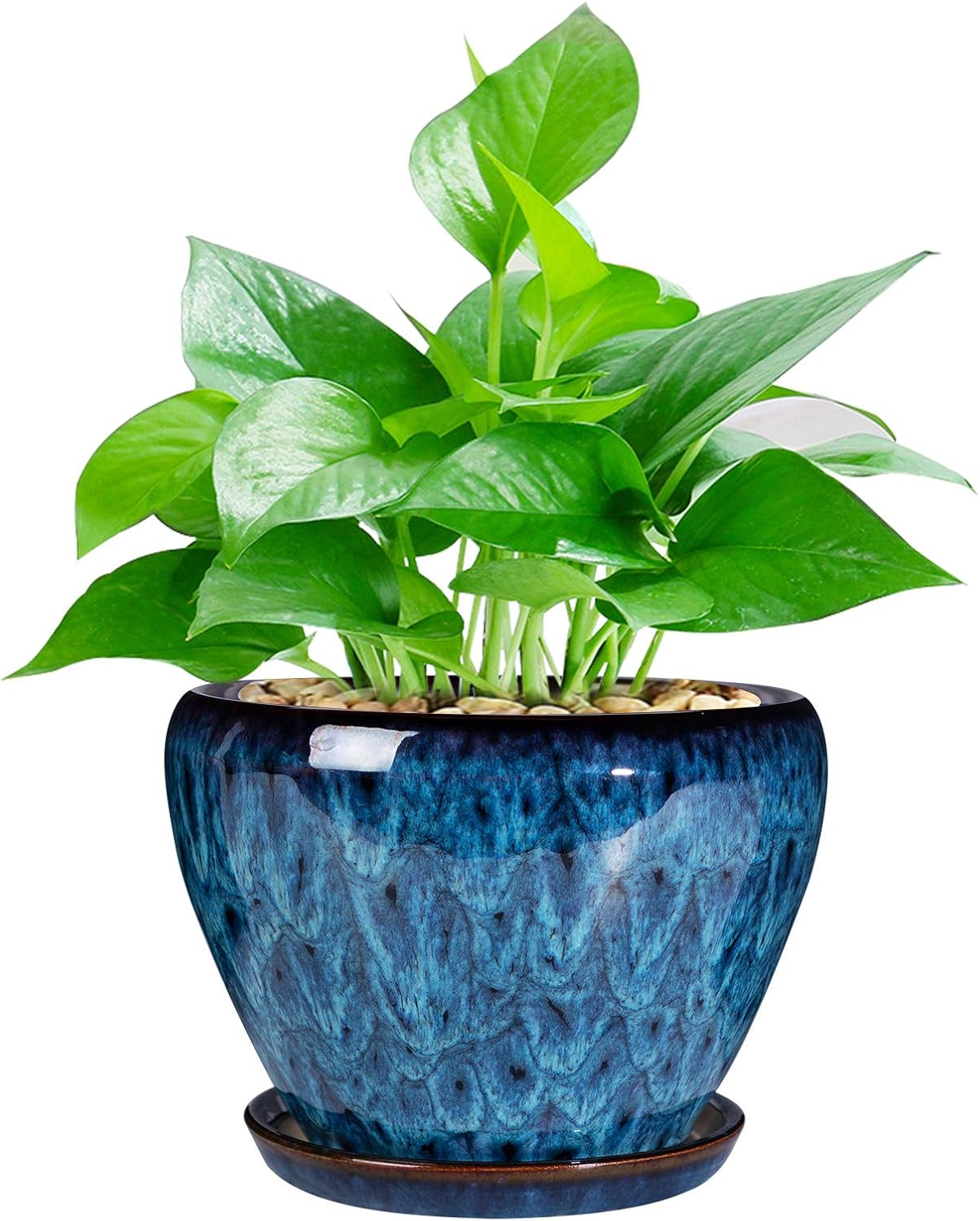 Ceramic Succulent Planter Pot  - Snake Plant Ceramic 评论和价格