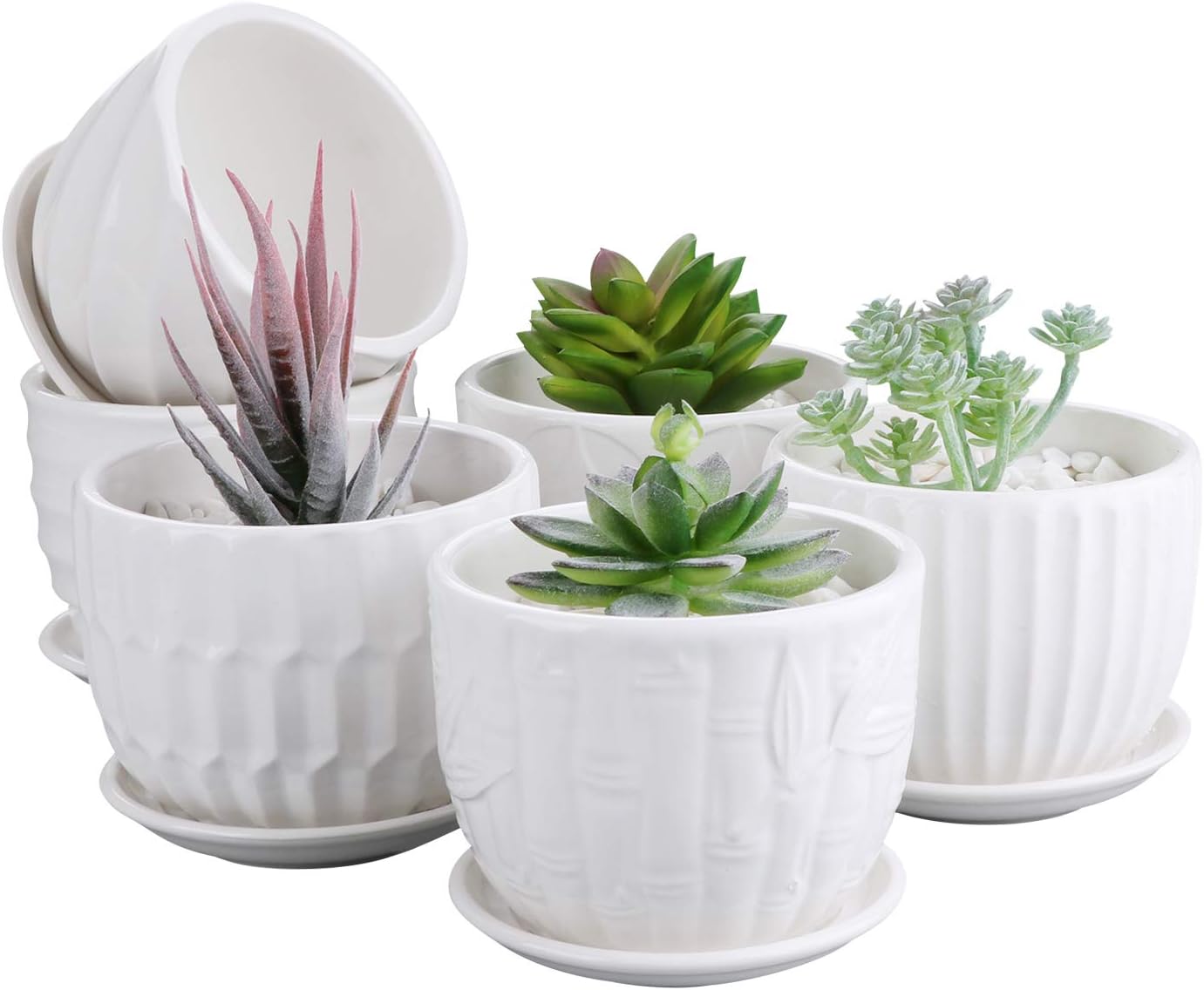 Flower Pots, 4 Inch Cylinder C - Snake Plant Ceramic 评论和价格