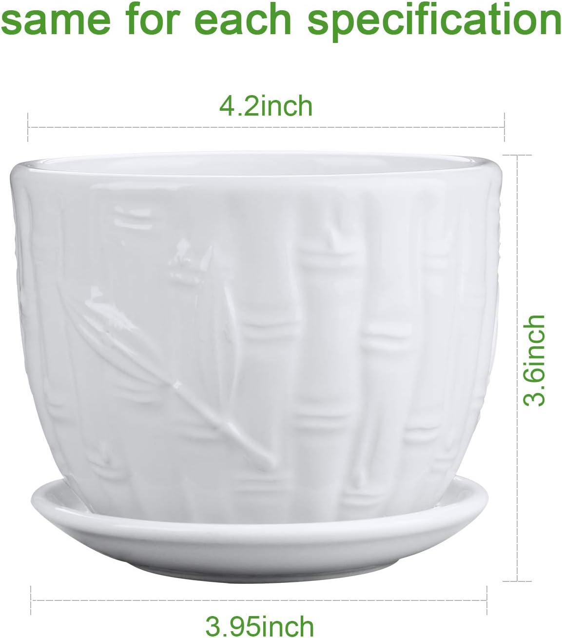 Flower Pots, 4 Inch Cylinder C - Snake Plant Ceramic 评论和价格